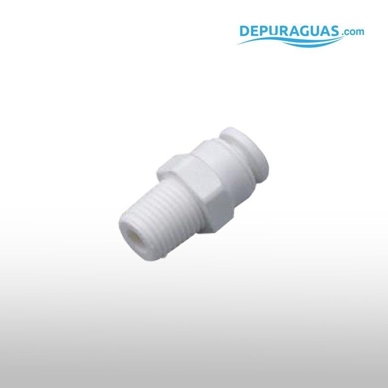 Recto 1/4T-1/4R